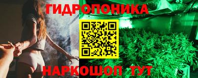 таблы Гусев